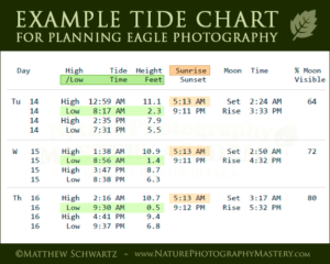 Example tide chart for planning eagle photography - Copyright Matthew Schwartz - NaturePhotographyMastery.com