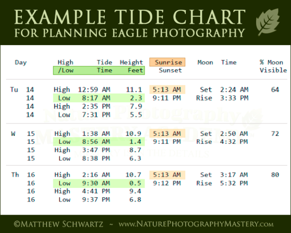 Tide Chart Example Hood Canal A Nature Photography Mastery Academy